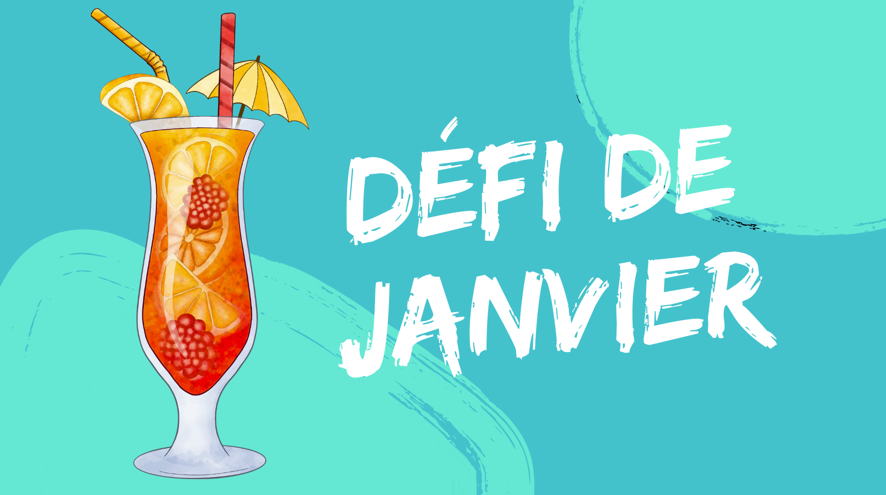 Défi de janvier Indre et Loire