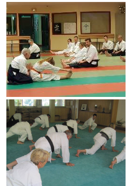 Aiki taiso