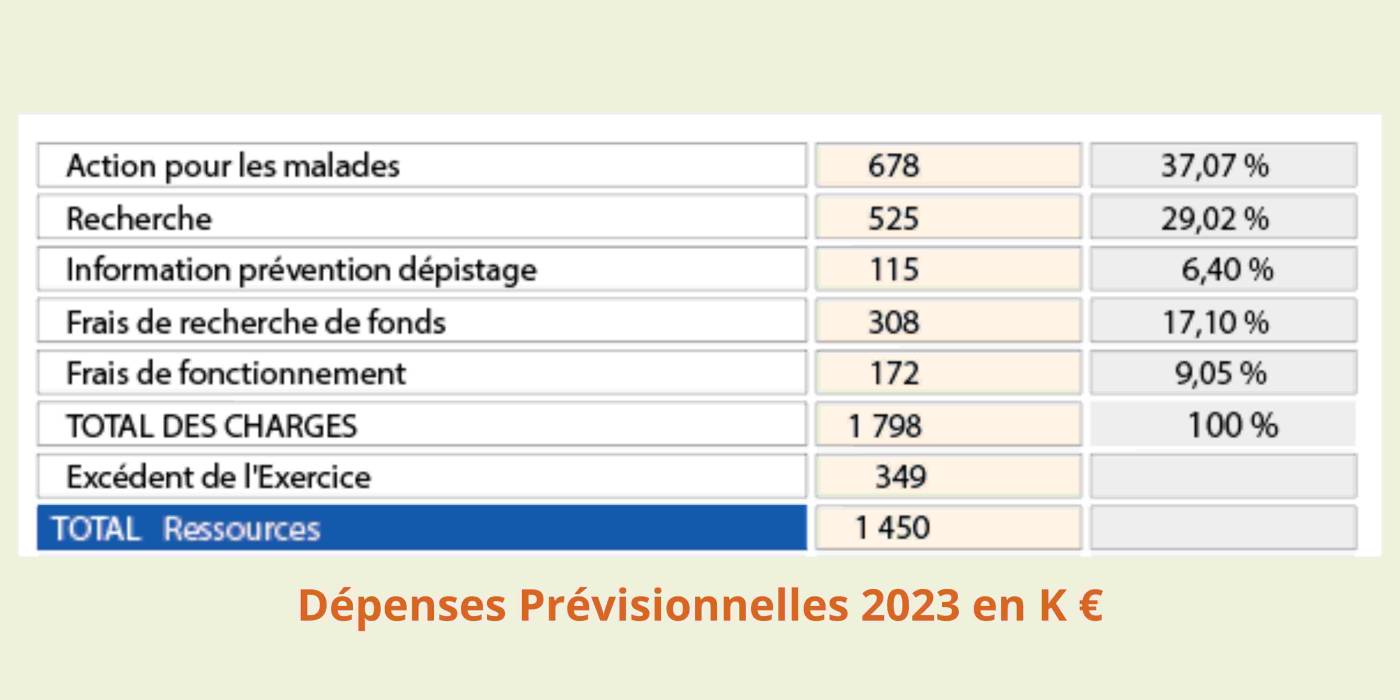 Dépenses Prévisionnelles 