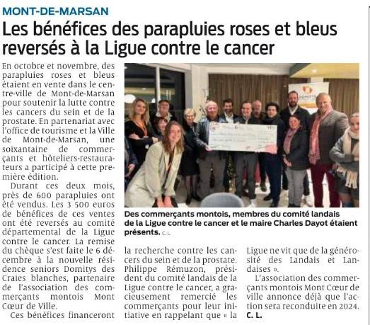 parapluies roses commercants montois