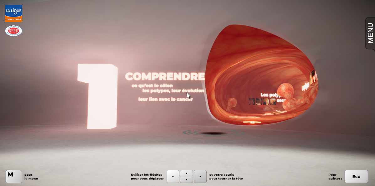 Côlon virtuel