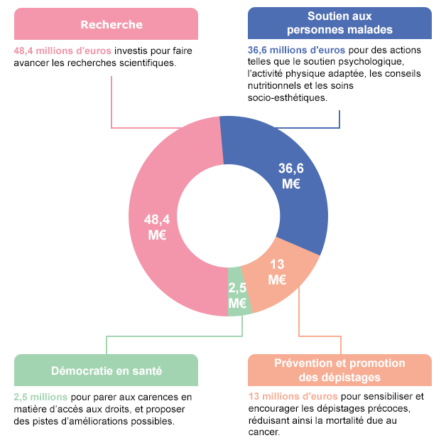 rapport activités 2024