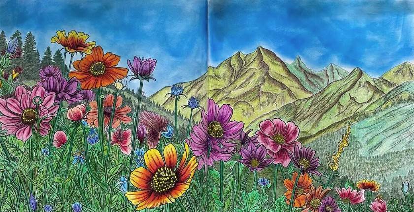 Coloriage