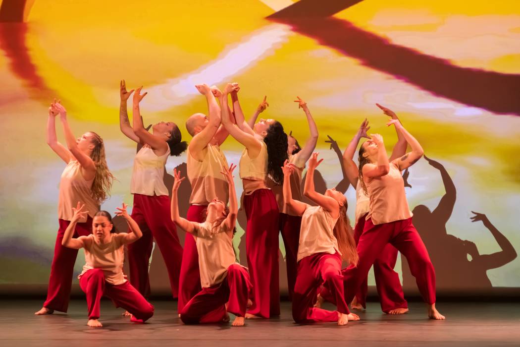 danseurs dansons pour al vie