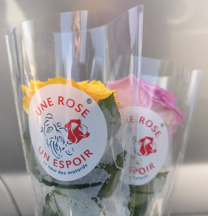 rose