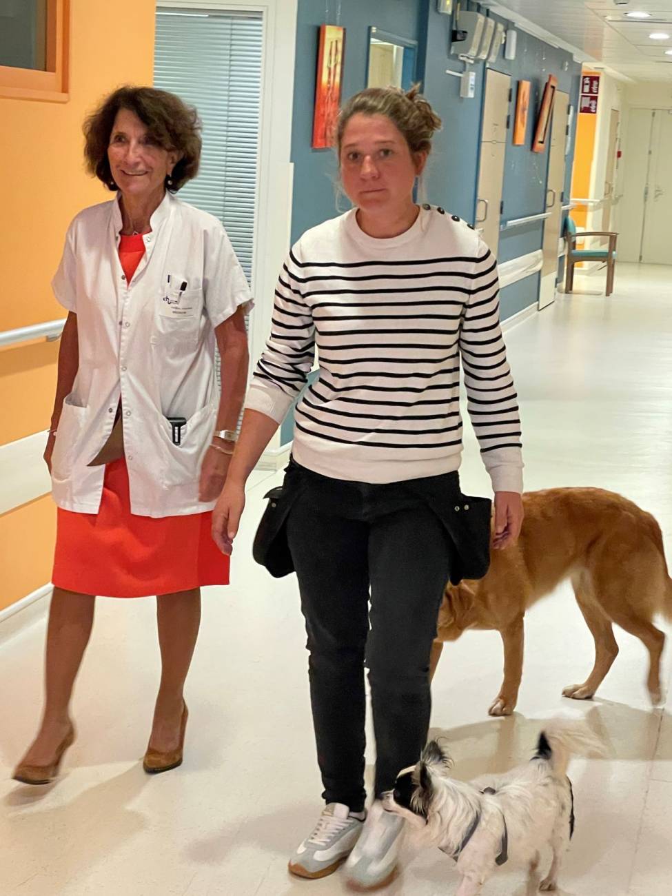 médiation canine