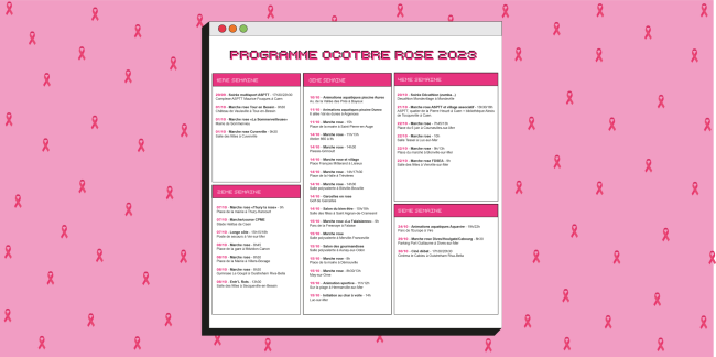 Prog-oct-rose-2023